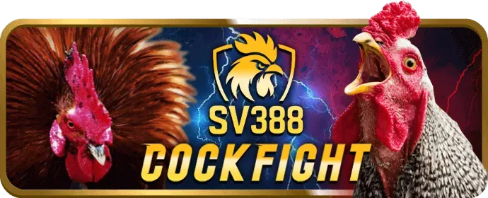 Tin tức thể thao wwin999